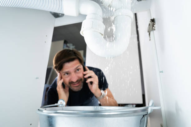 Best Affordable Plumbing Services  in Saint Johns University, MN